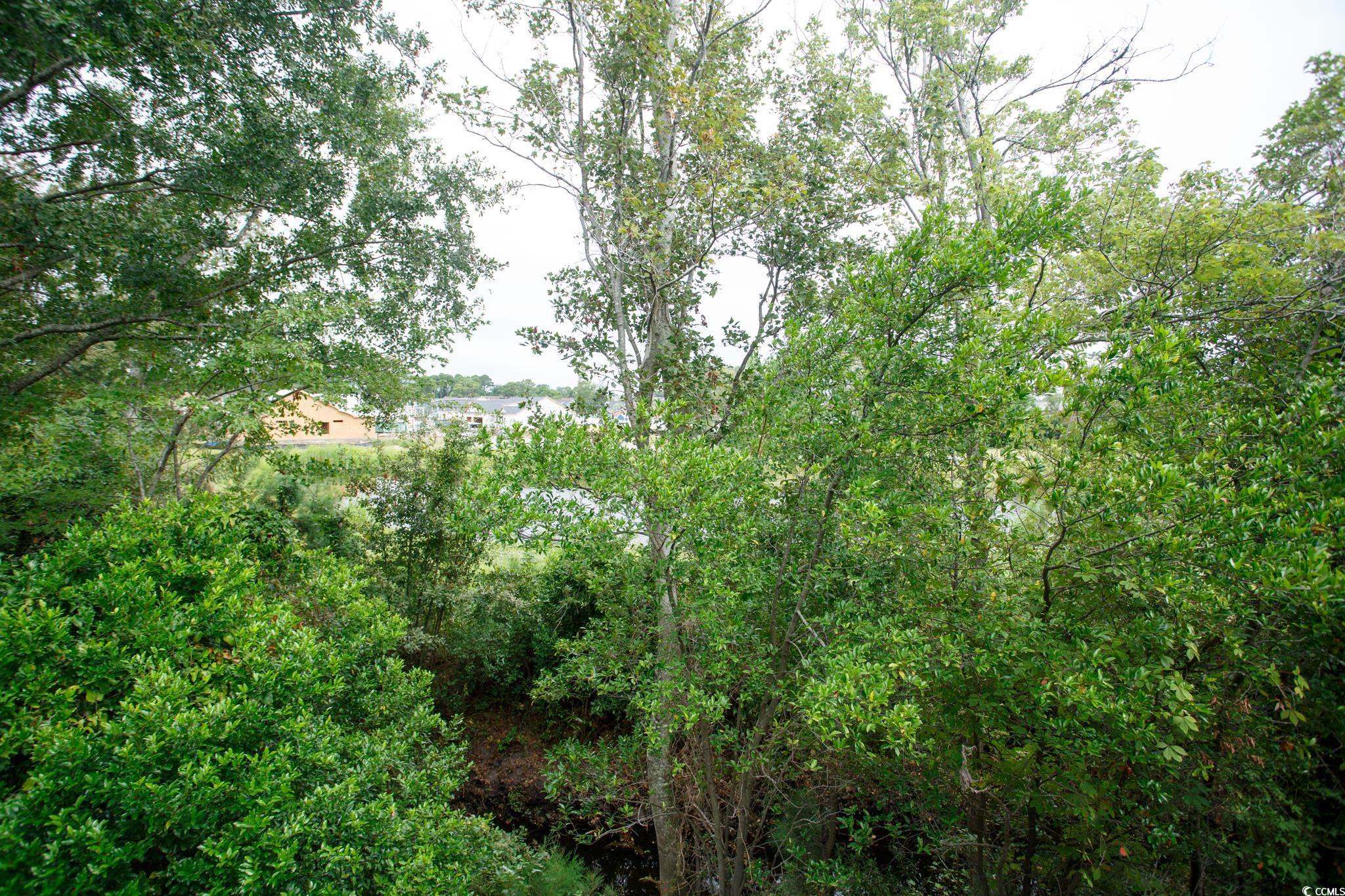 1356 Glenns Bay Road, Unit 201B Surfside Beach, SC 29575 - Photo 12 of 37 View of nature