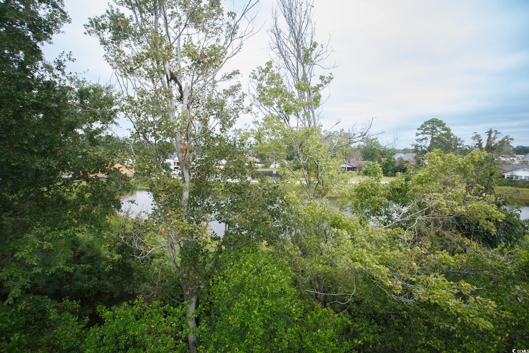 1356 Glenns Bay Road, Unit 201B Surfside Beach, SC 29575 - Photo 20 of 37 View of wooded area