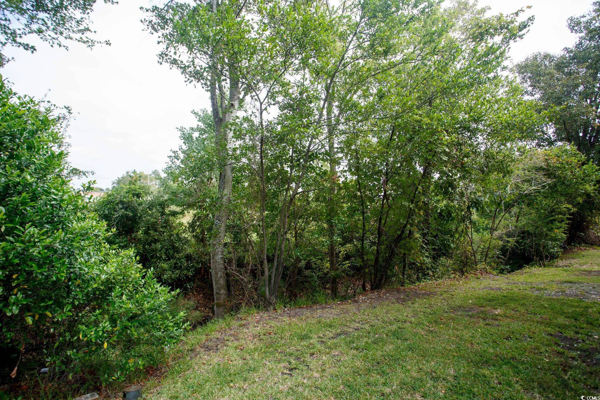 1356 Glenns Bay Road, Unit 201B Surfside Beach, SC 29575 - Photo 35 of 37 View of undeveloped land