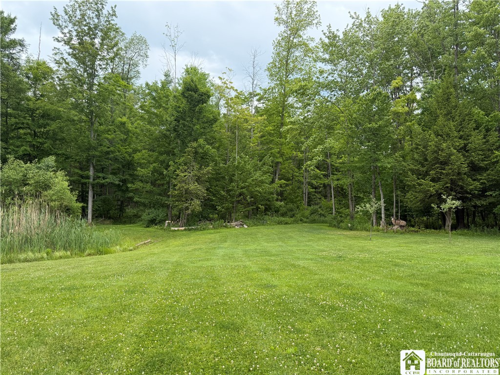 9039 Kidder Road Mina, NY 14781 - Photo 13 of 48 Front yard - tall weeds surround the pond