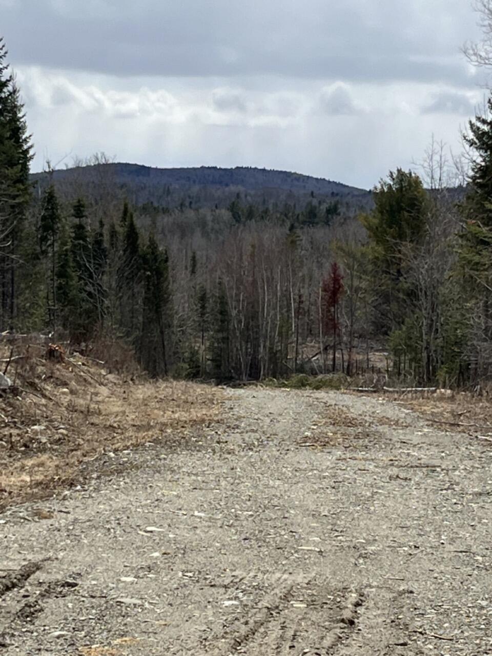 33 Rt 6 Highway Carroll Plt, ME 04487 - Photo 2 of 10 IMG_4019 Large