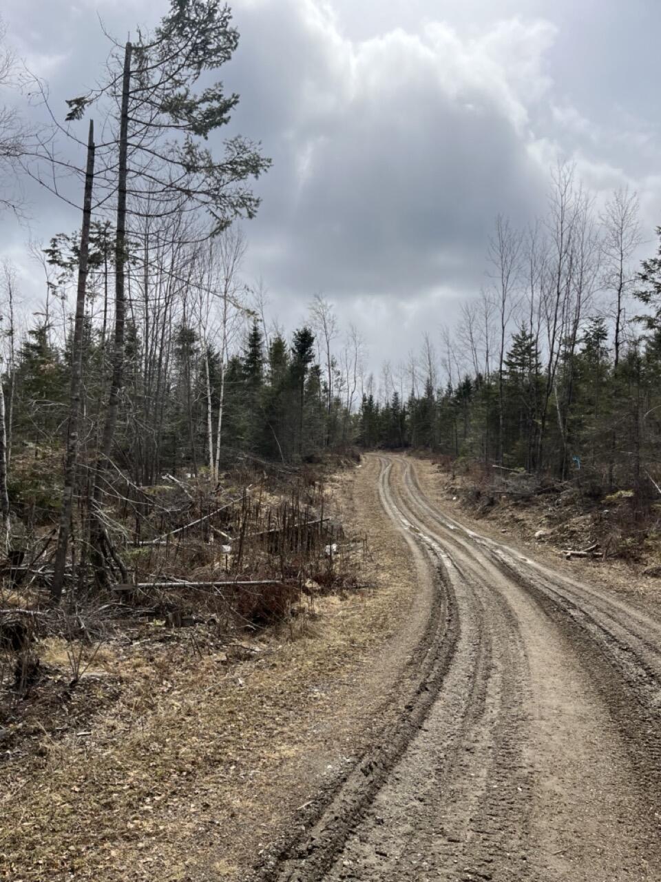 33 Rt 6 Highway Carroll Plt, ME 04487 - Photo 5 of 10 IMG_4016 Large