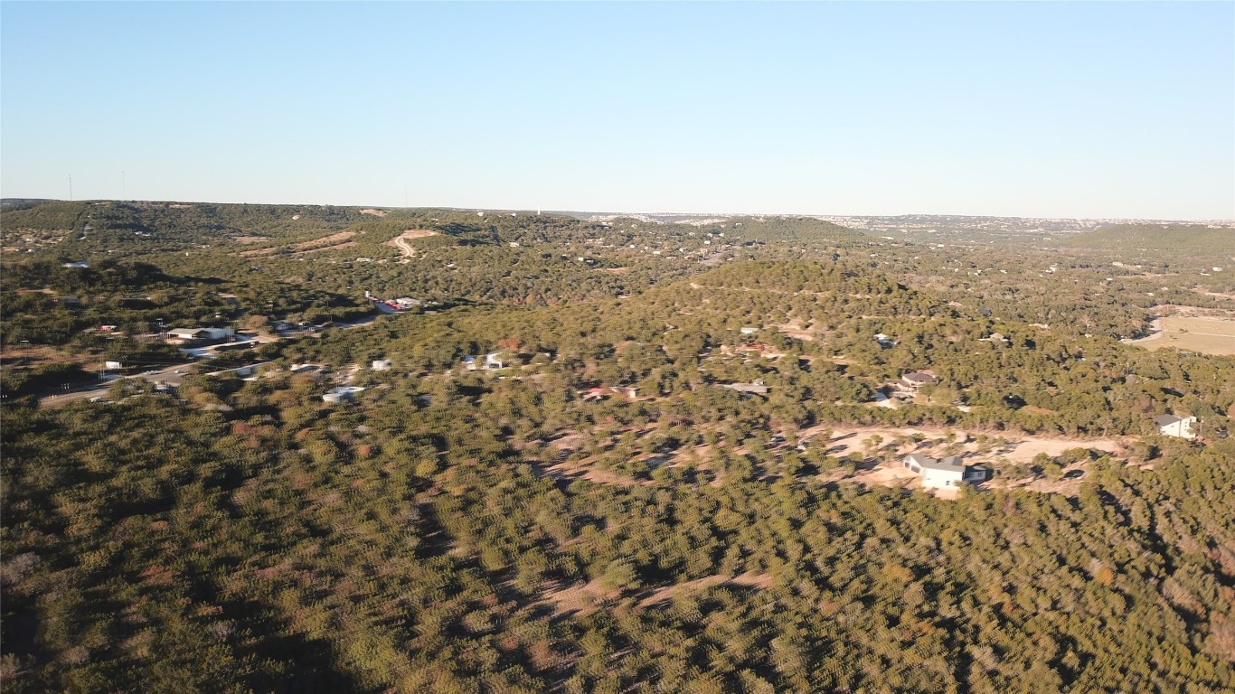 17307 West Reed Park Road Leander, TX 78645 - Photo 7 of 19 an aerial view of houses covered in trees