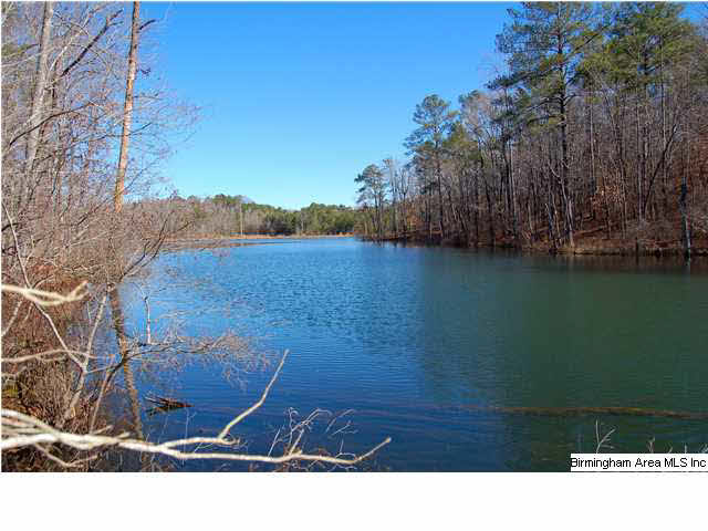 5 Highway Ac Al, Unit 96 23 Woodstock, AL 35188 - Photo 1 of 20