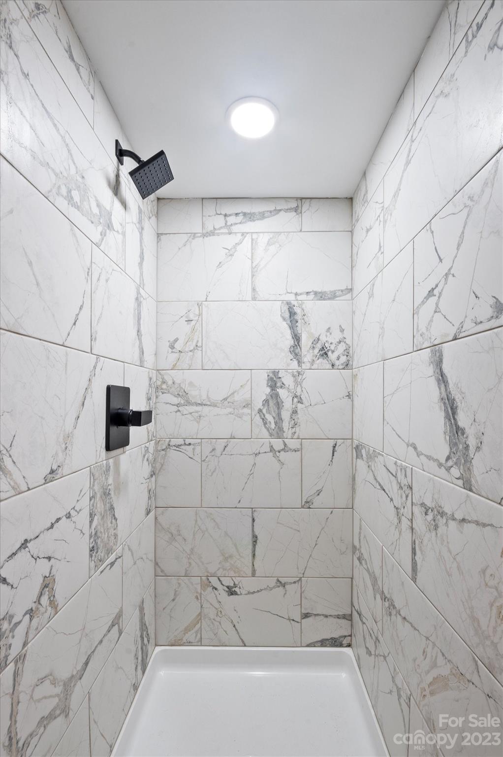 969 Peniel Road Columbus, NC 28722 - Photo 28 of 32 a bathroom with a shower