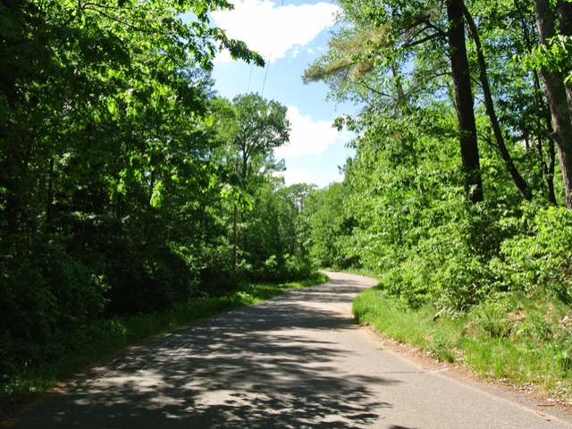 Lot 4 Little Bearskin Road Harshaw, WI 54529 - Photo 6 of 19 Gallery Image 6