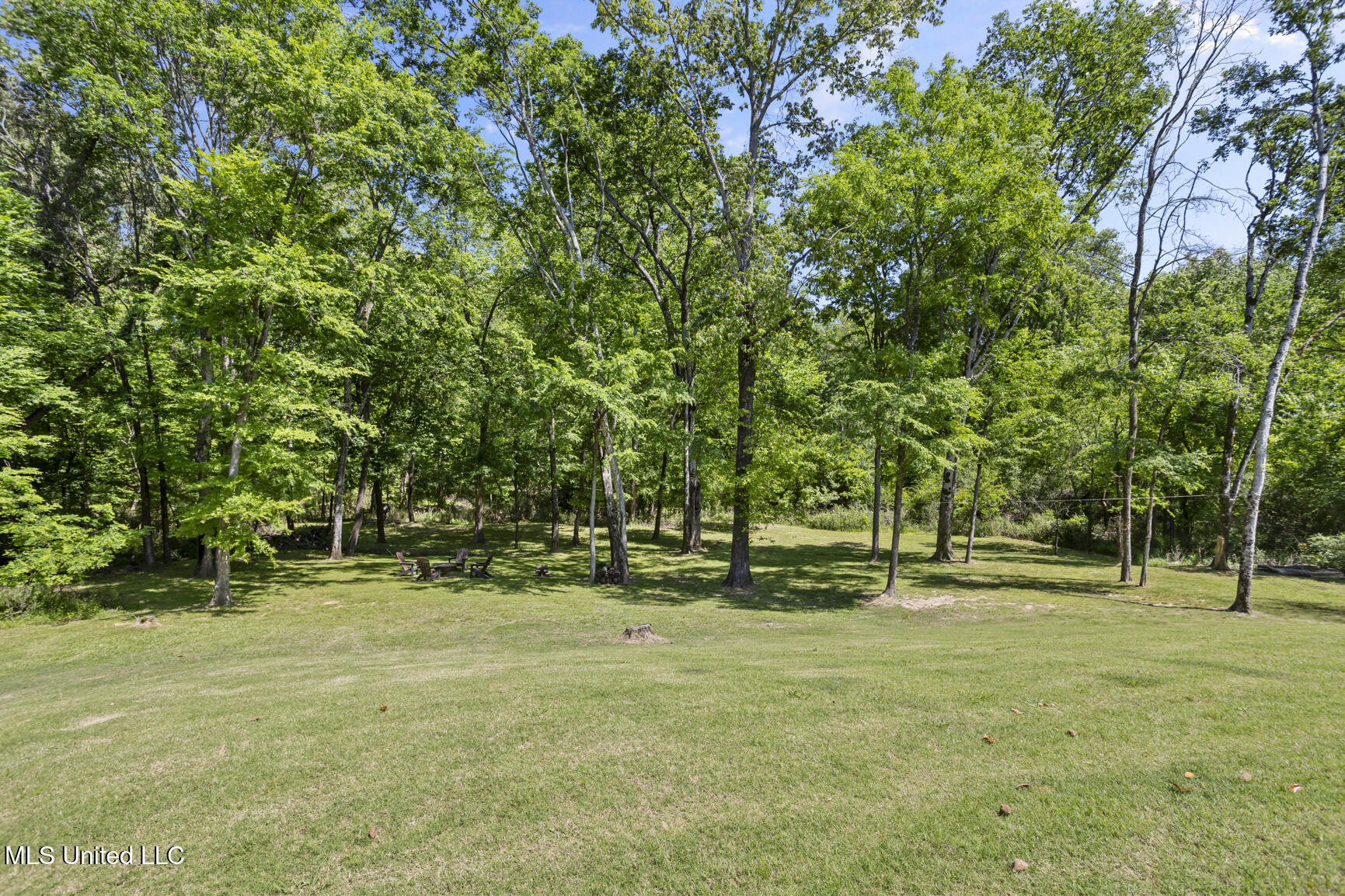 168 Chestnut Hill Road Flora, MS 39071 - Photo 48 of 54 168 Chestnut Hill-7