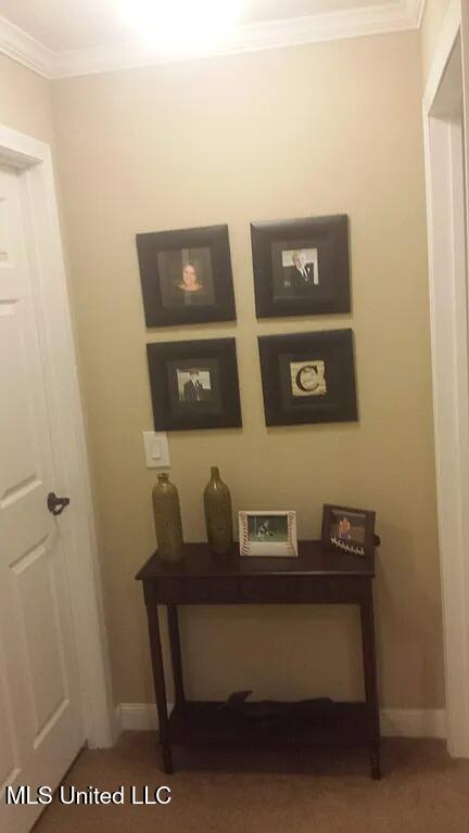 1540 Gip Wall Road Newton, MS 39345 - Photo 17 of 34 djdemers1_231084816720150_64319198672186