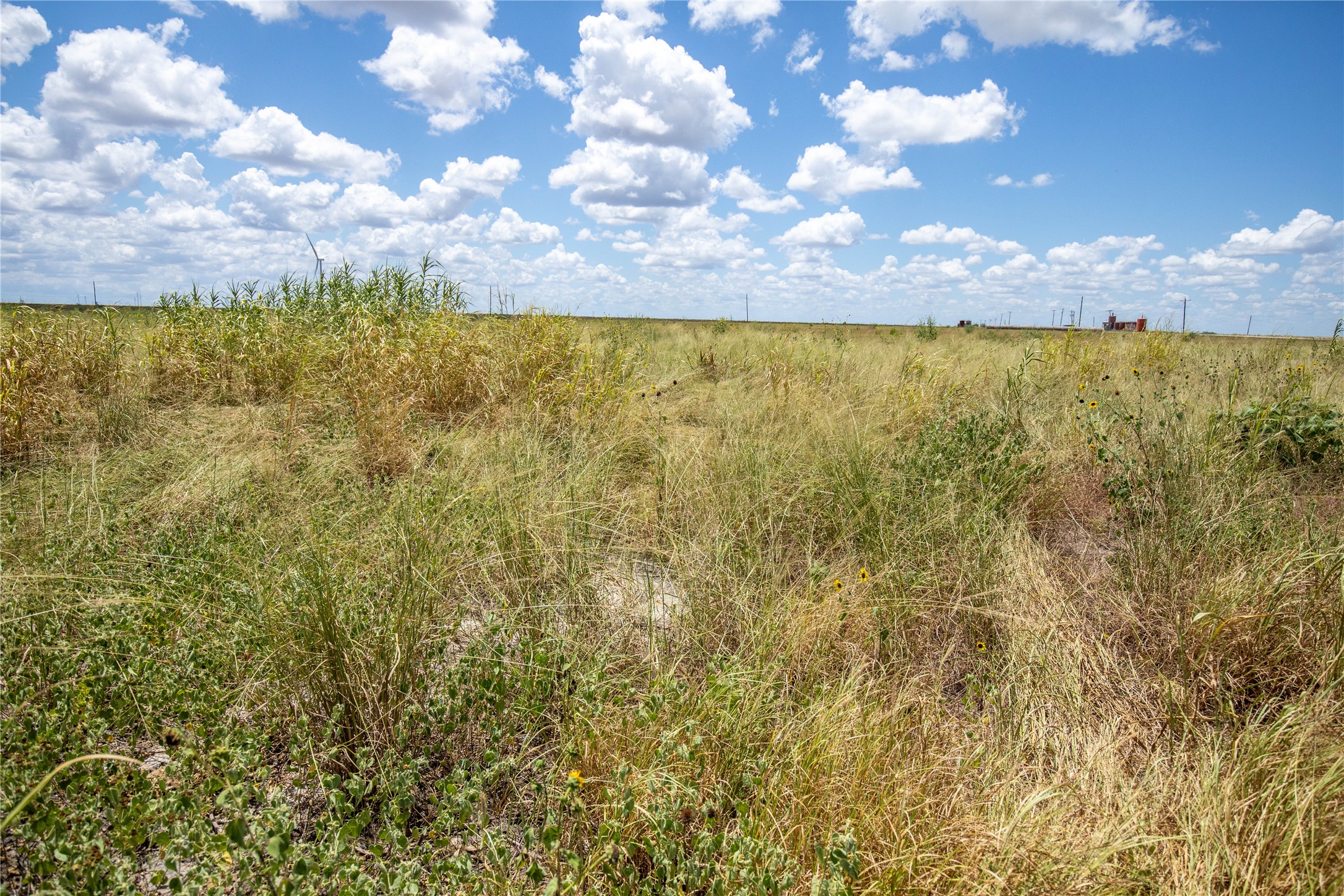 0 County Road 647 Mathis, TX 78368 - Photo 38 of 40 Gallery Image 38