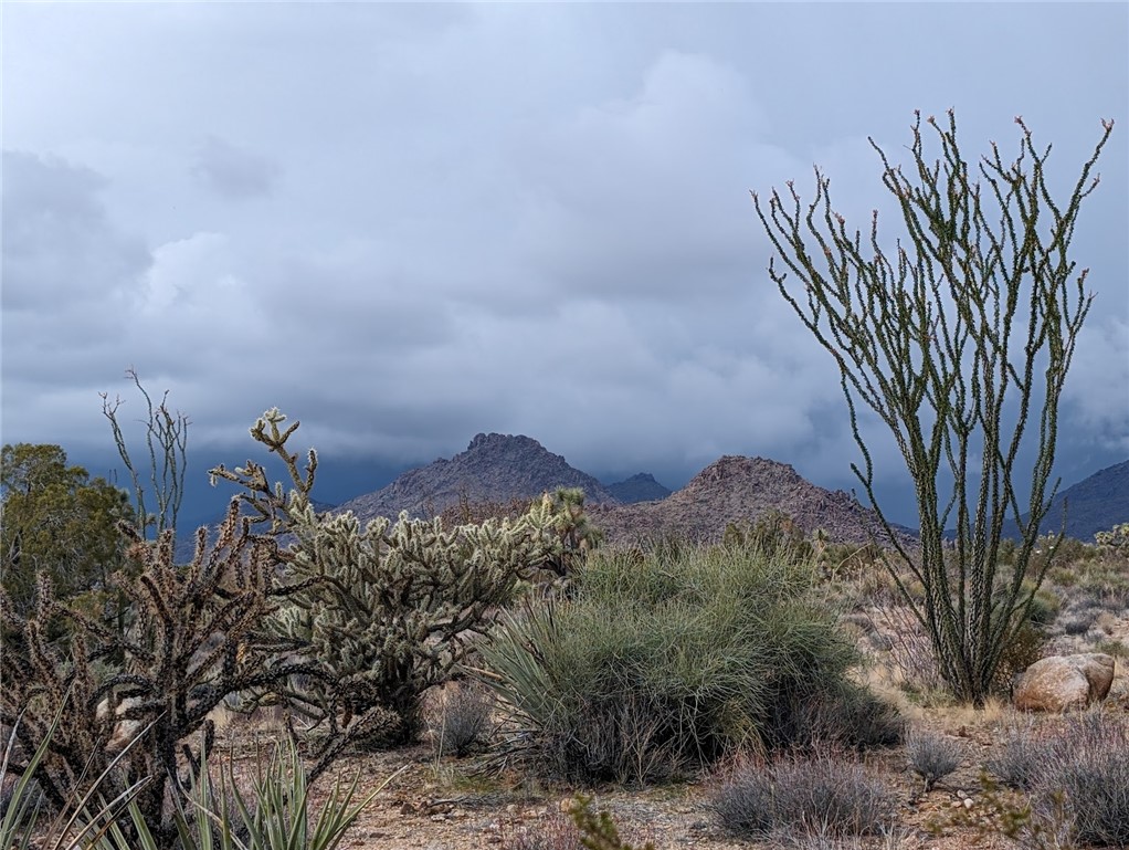 2624 South Gold Mine Road Yucca, AZ 86438 - Photo 6 of 15
