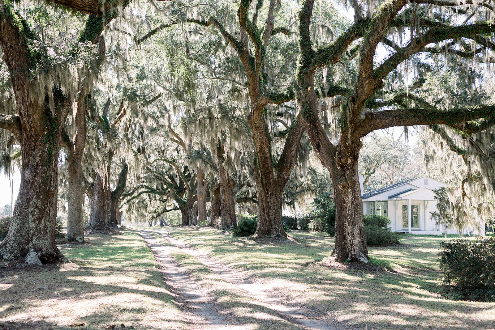 4667 Chisolm Road Johns Island, SC 29455 - Photo 38 of 39 4667ChisolmJohnsIsland (70)