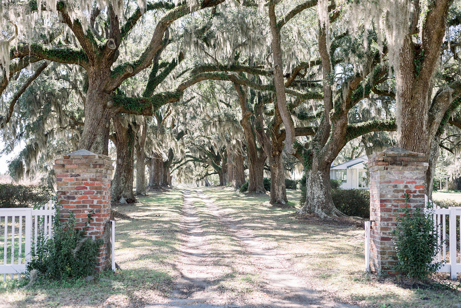 4667 Chisolm Road Johns Island, SC 29455 - Photo 39 of 39 4667ChisolmJohnsIsland (71)