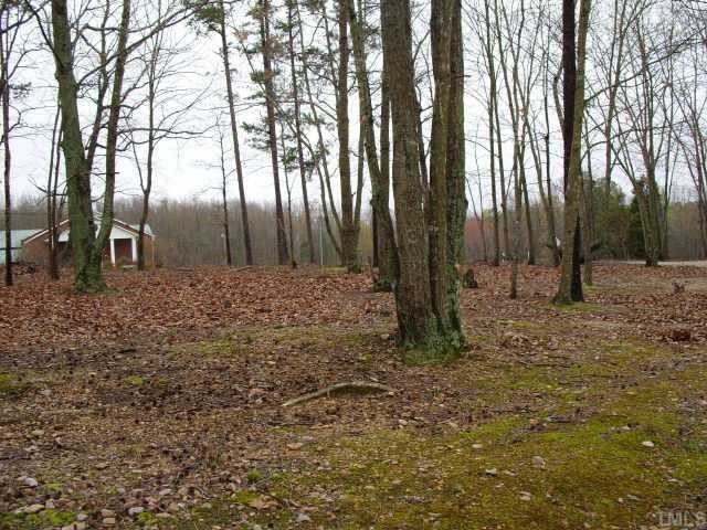 4037 Graham Sherron Road Wake Forest, NC 27587 - Photo 3 of 3 Gallery Image 3