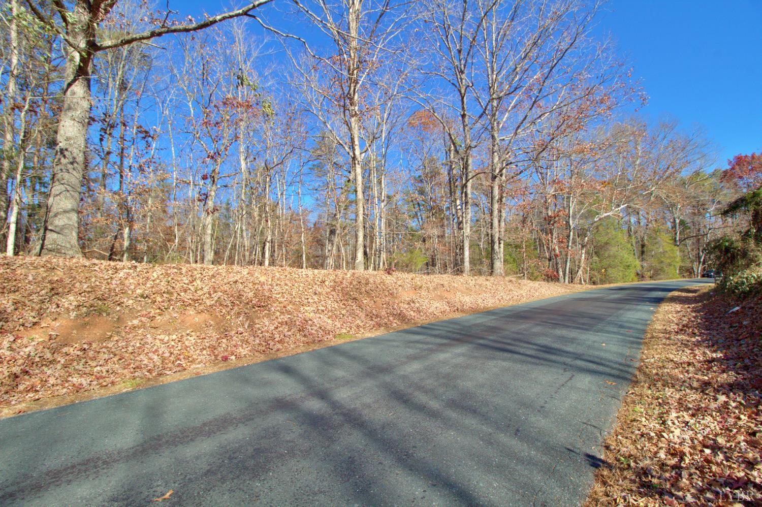 0 Bent Creek Road Concord, VA 24538 - Photo 2 of 7 a view of large space with large trees
