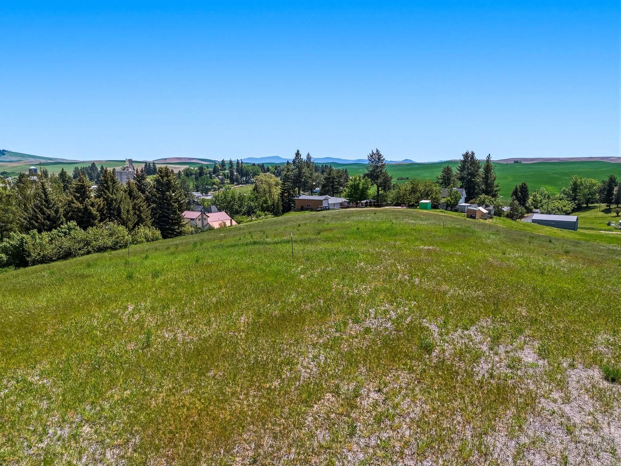 Tbd 10th Street Garfield, WA 99130 - Photo 11 of 12