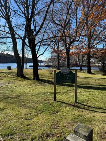 a view of a lake with a tree