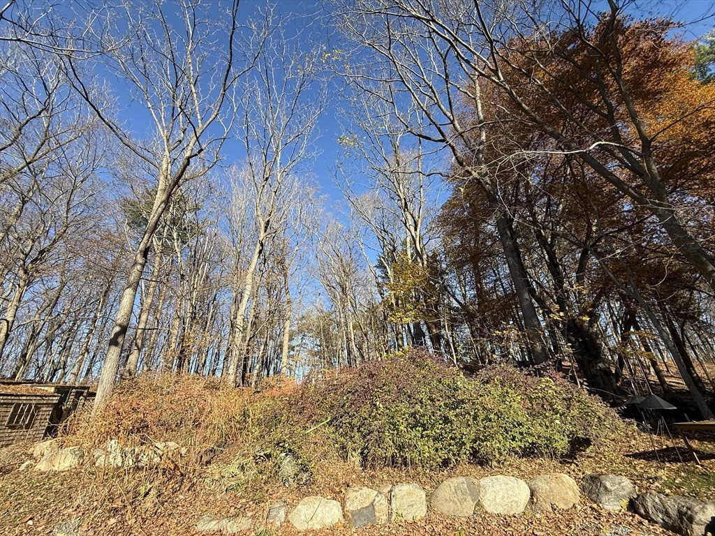 3 Laurel Place Amesbury, MA 01913 - Photo 2 of 14 a view of a yard covered with trees