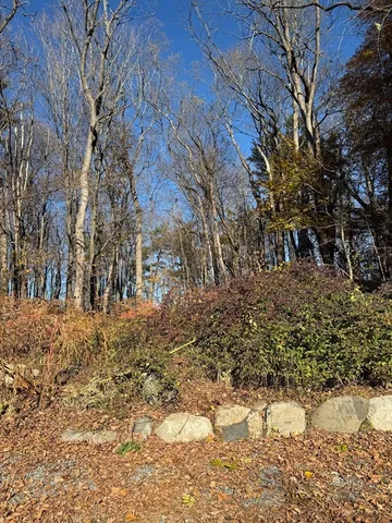 a backyard of a house