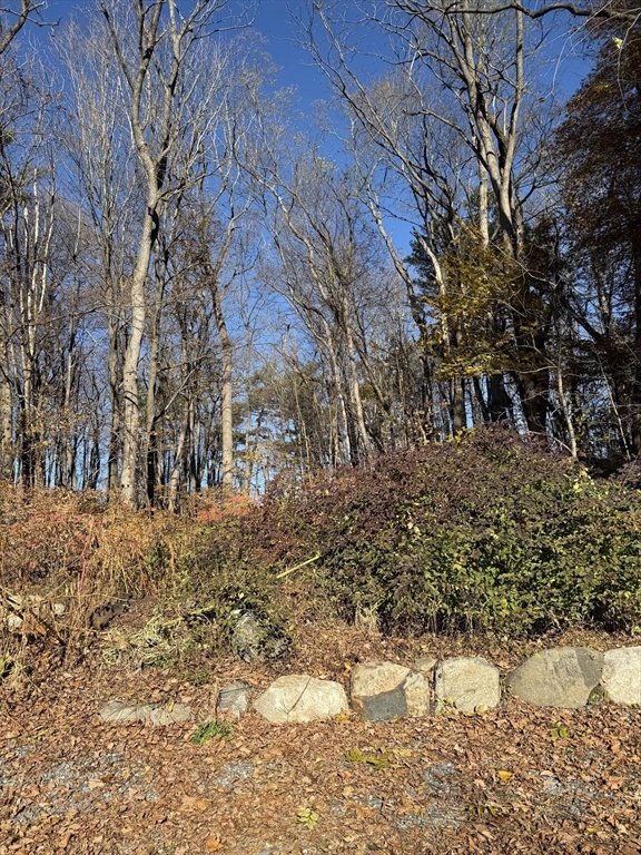 3 Laurel Place Amesbury, MA 01913 - Photo 4 of 14 a backyard of a house
