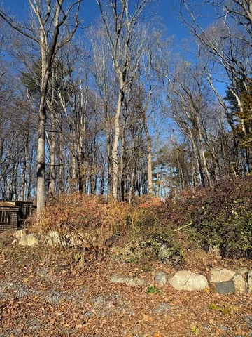 a view of snow on a road