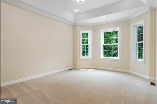 17703 Bridlewood Road Milton, DE 19968 - Photo 16 of 23