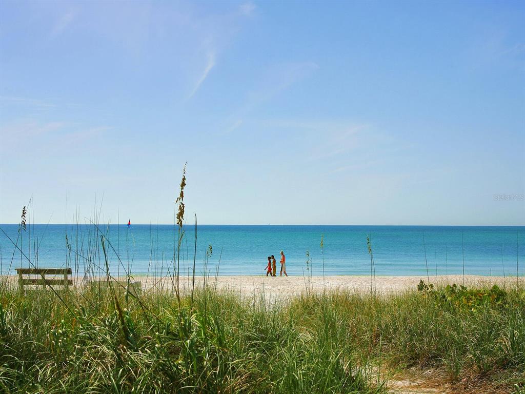 18 North Casey Key Road Osprey, FL 34229 - Photo 46 of 49 a view of a backyard