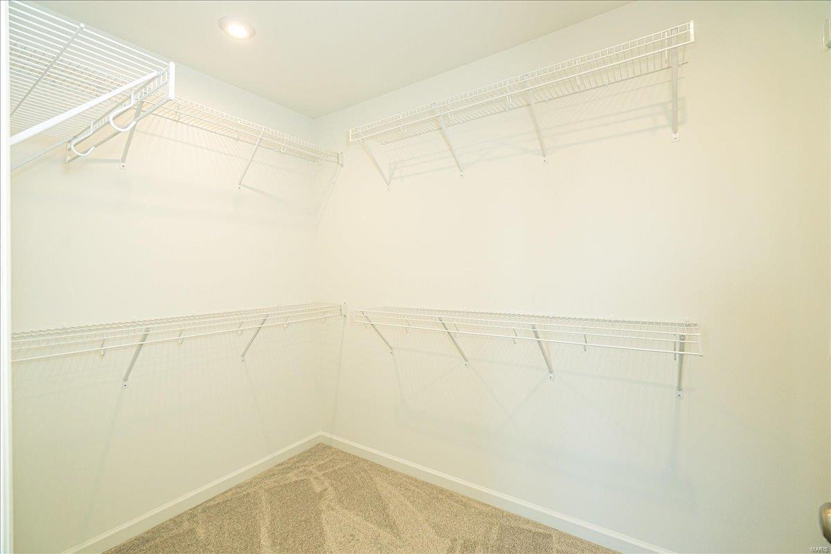 3031 Eagle Branch Circle St. Paul, MO 63366 - Photo 34 of 46