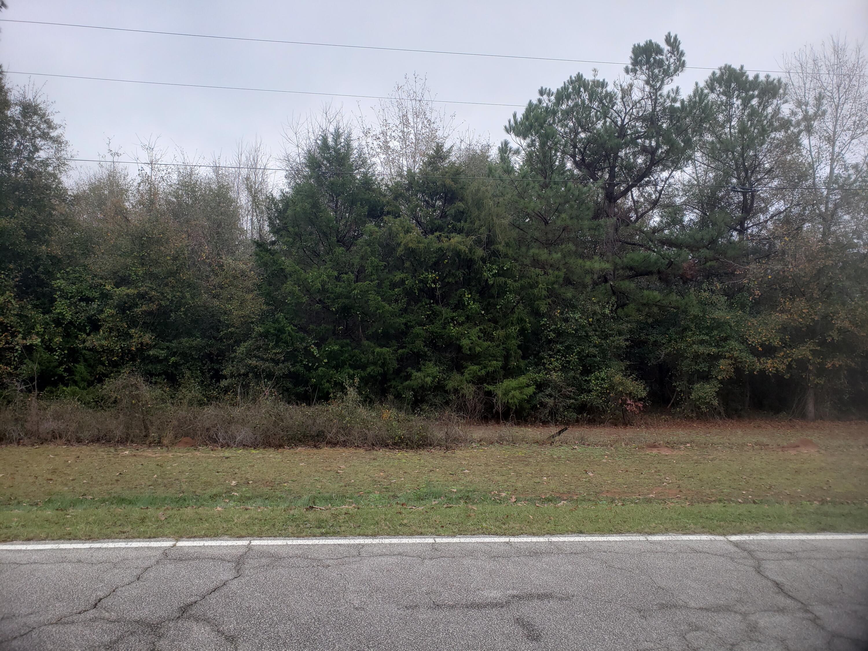 2089 Broome Road Hephzibah, GA 30815 - Photo 1 of 4 Main Photo