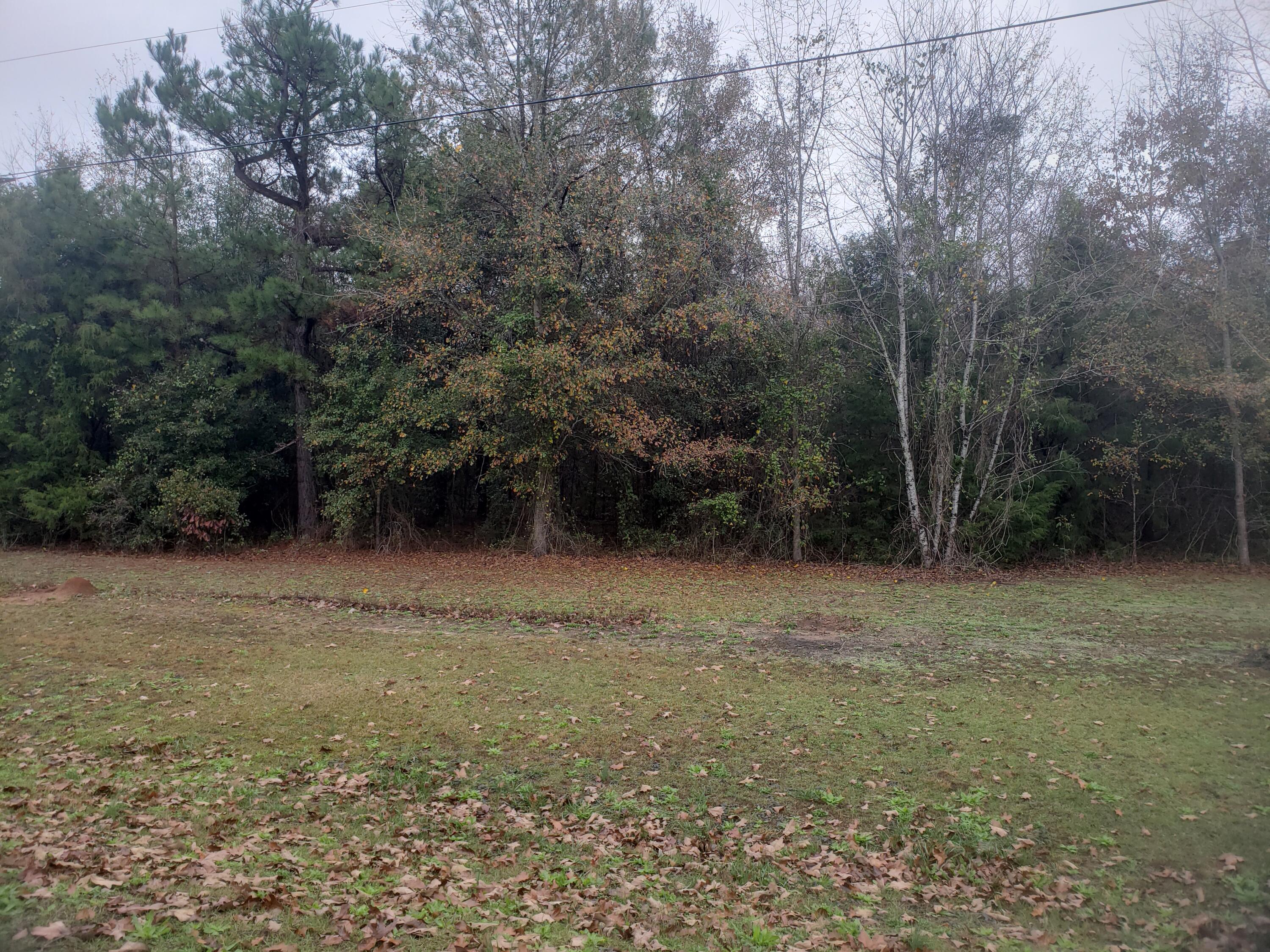 2089 Broome Road Hephzibah, GA 30815 - Photo 4 of 4 20221212_094505