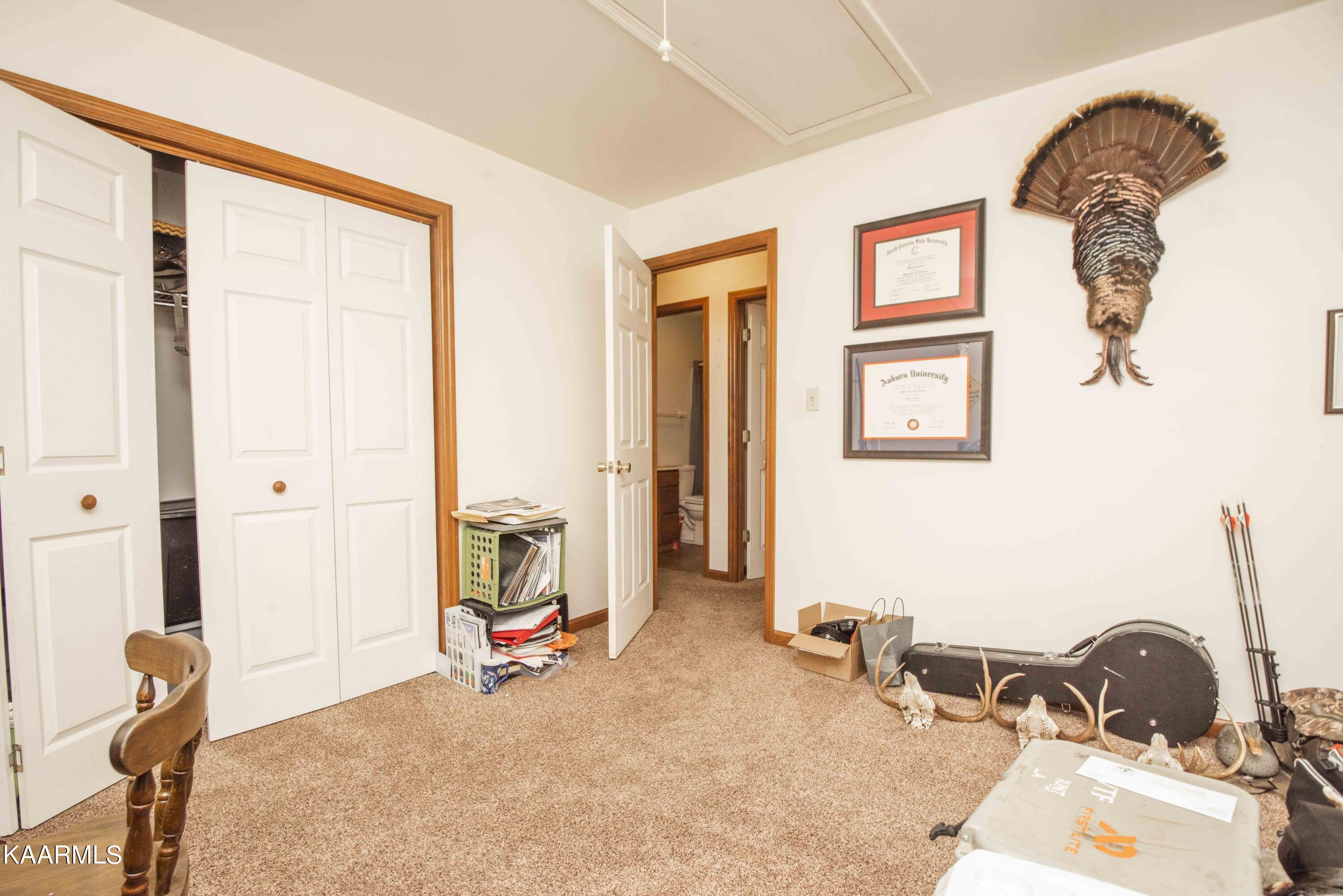 4804 Rowan Road Knoxville, TN 37912 - Photo 22 of 24 second bed_1