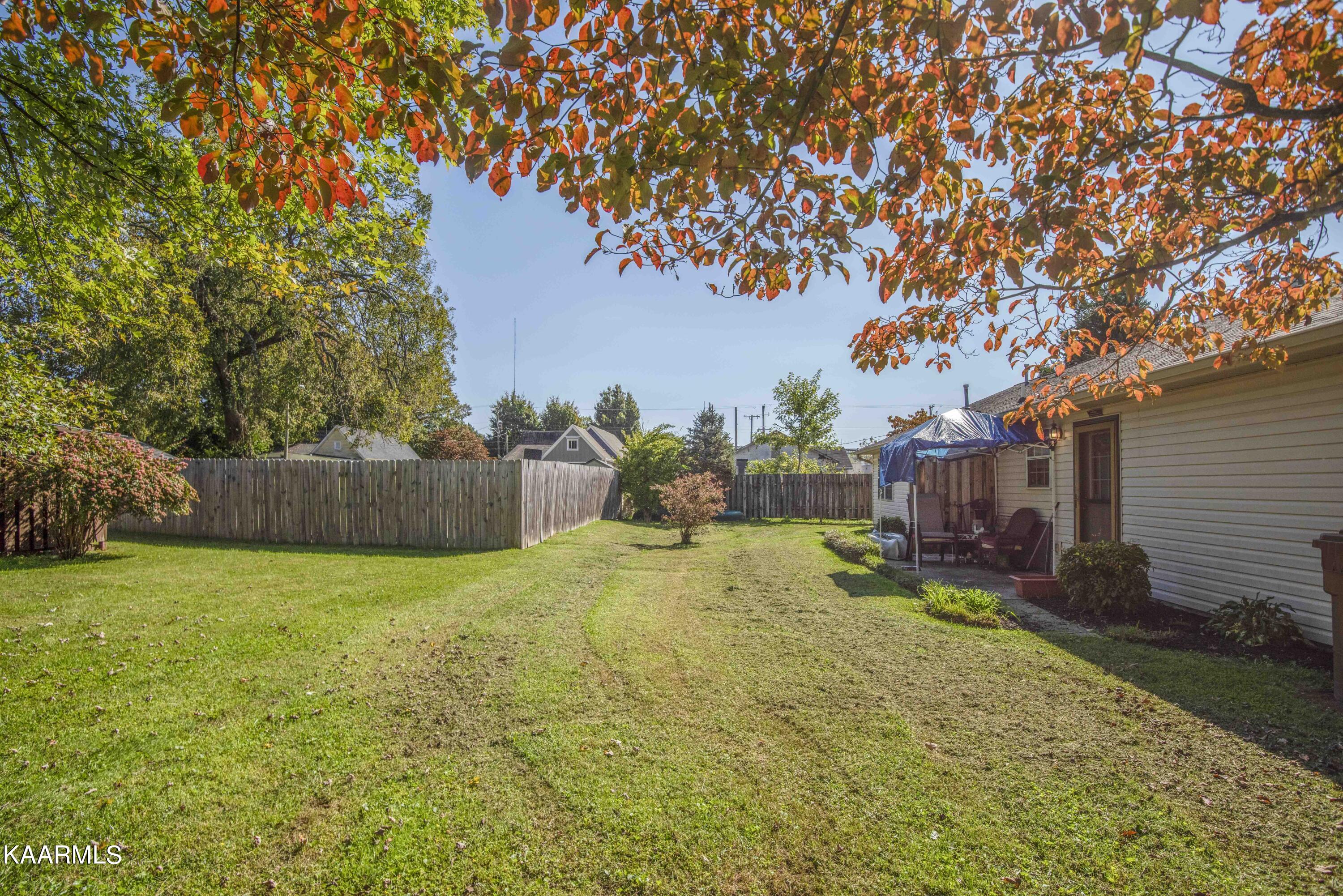 4804 Rowan Road Knoxville, TN 37912 - Photo 5 of 24 yard 4_1