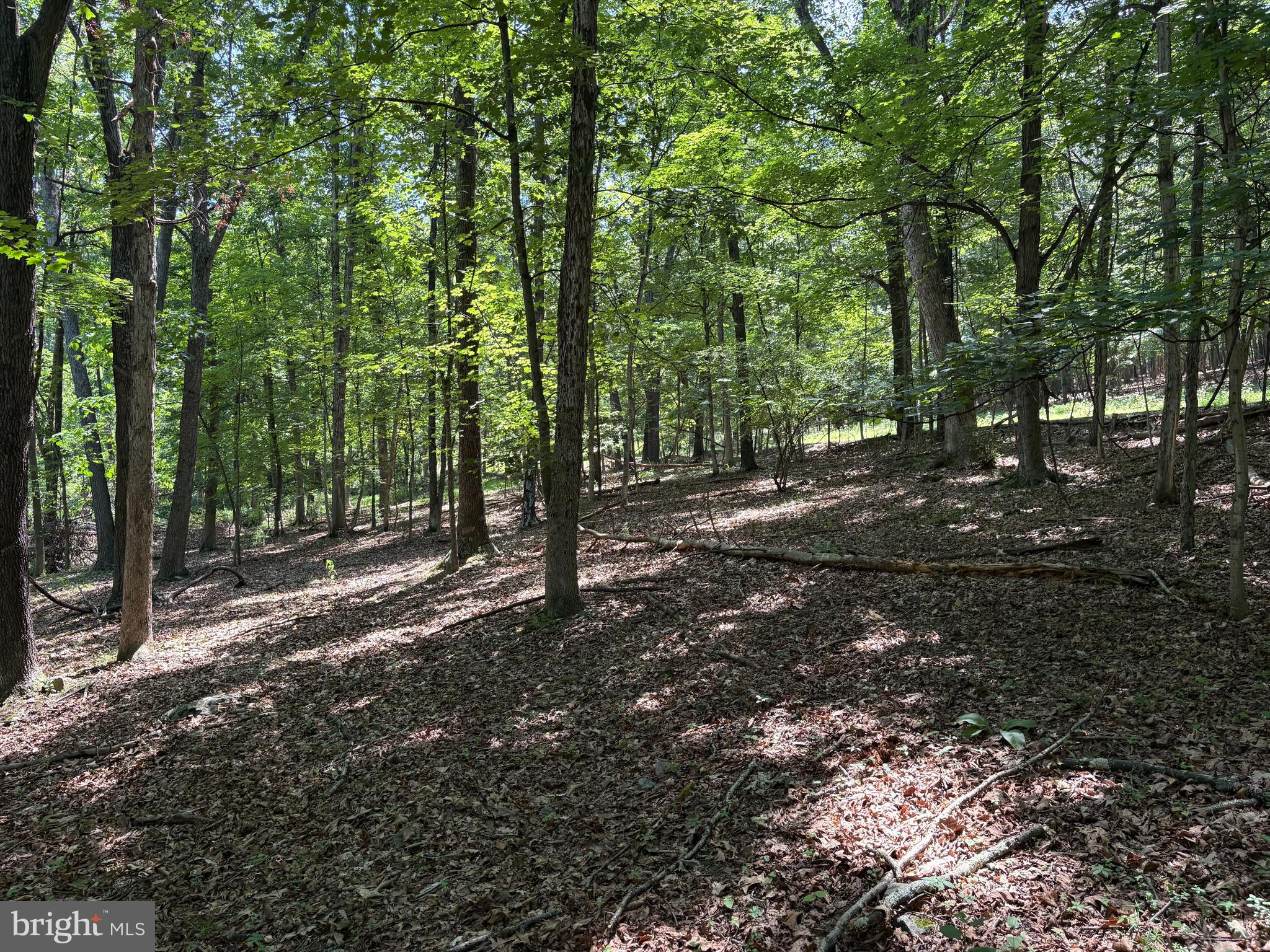 16 Rolling Acres Road Old Fields, WV 26845 - Photo 2 of 21