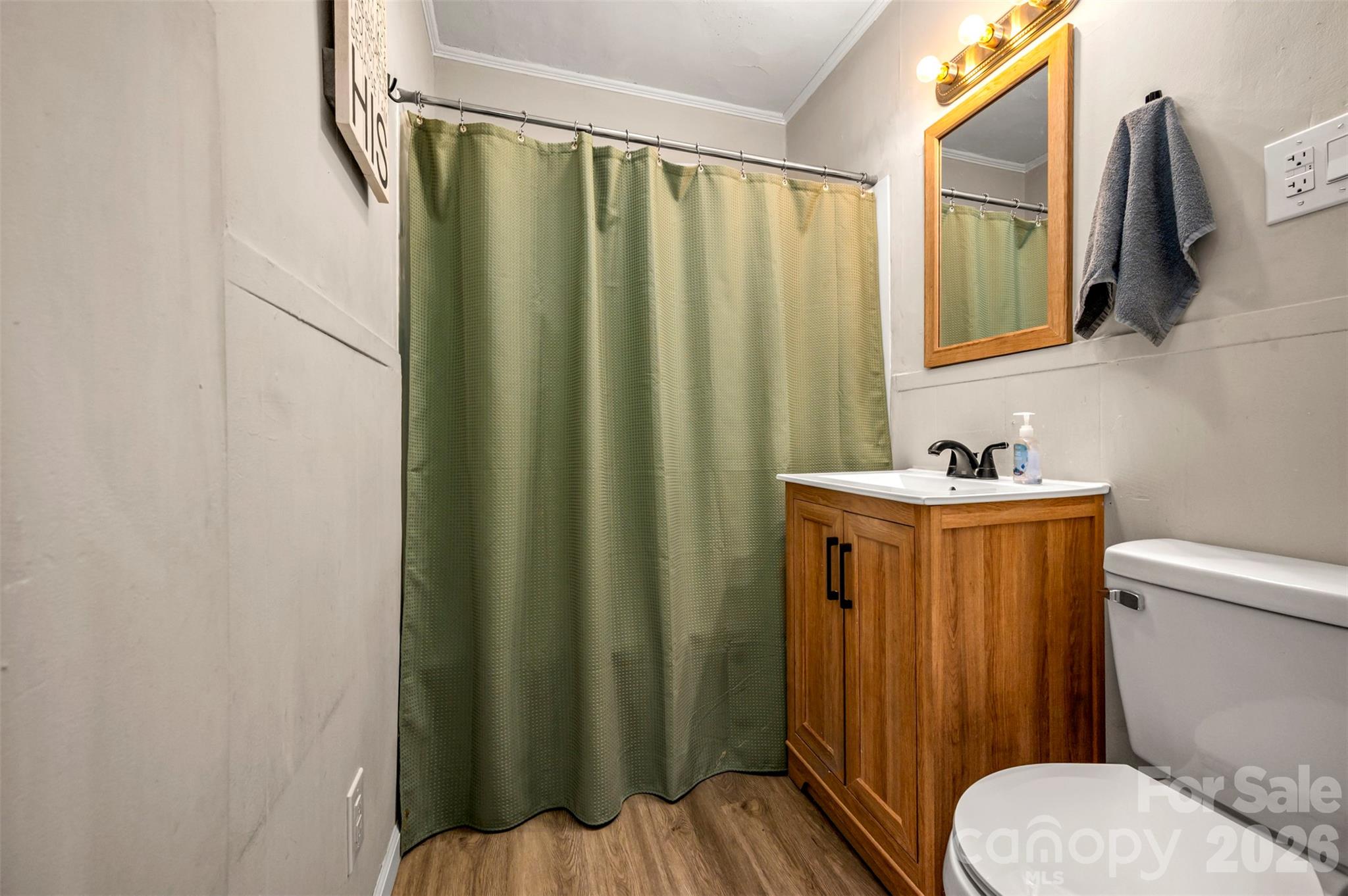 1685 Lynn Road Columbus, NC 28722 - Photo 18 of 31 a bathroom with a sink toilet and mirror