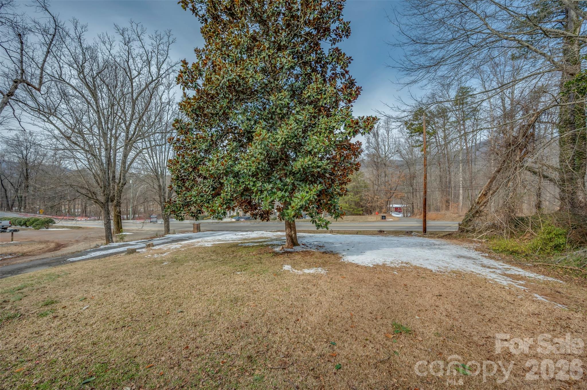 1685 Lynn Road Columbus, NC 28722 - Photo 28 of 31 a tree is standing in the middle of a yard