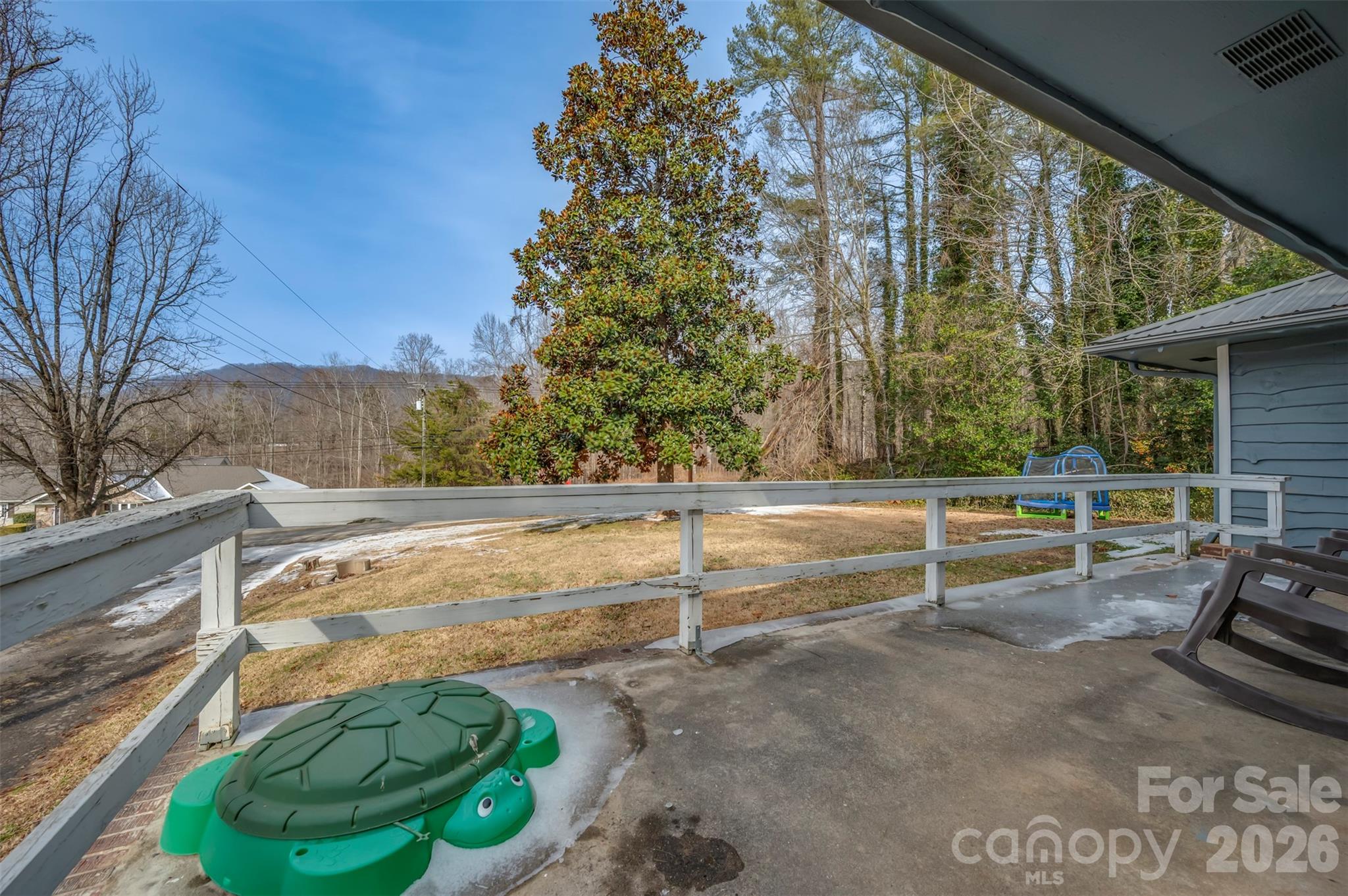 1685 Lynn Road Columbus, NC 28722 - Photo 5 of 31 a view of outdoor space and barbecue grill