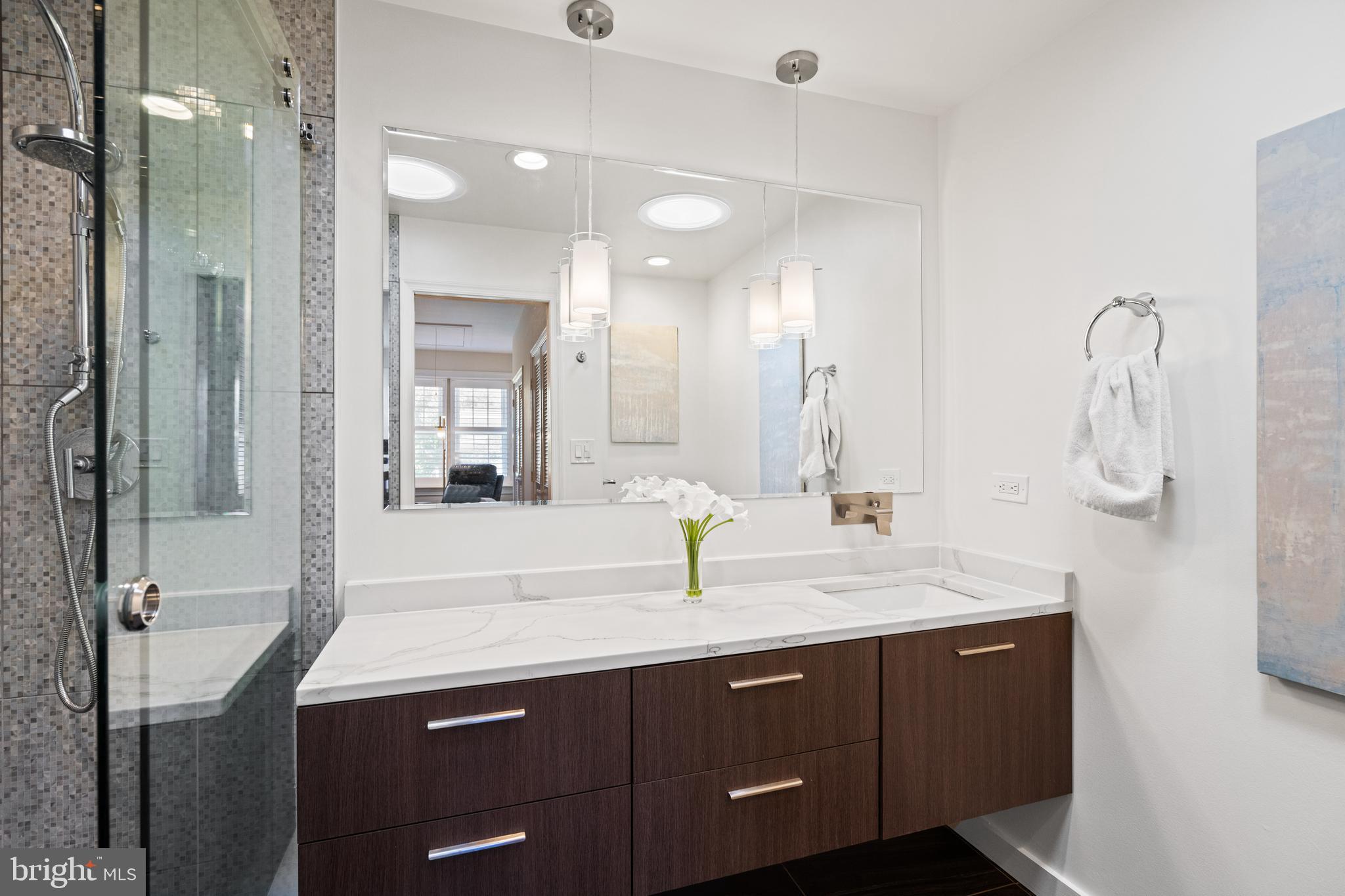611 F Street Northeast Washington, DC 20002 - Photo 25 of 34 Primary Bathroom with Two Skylights