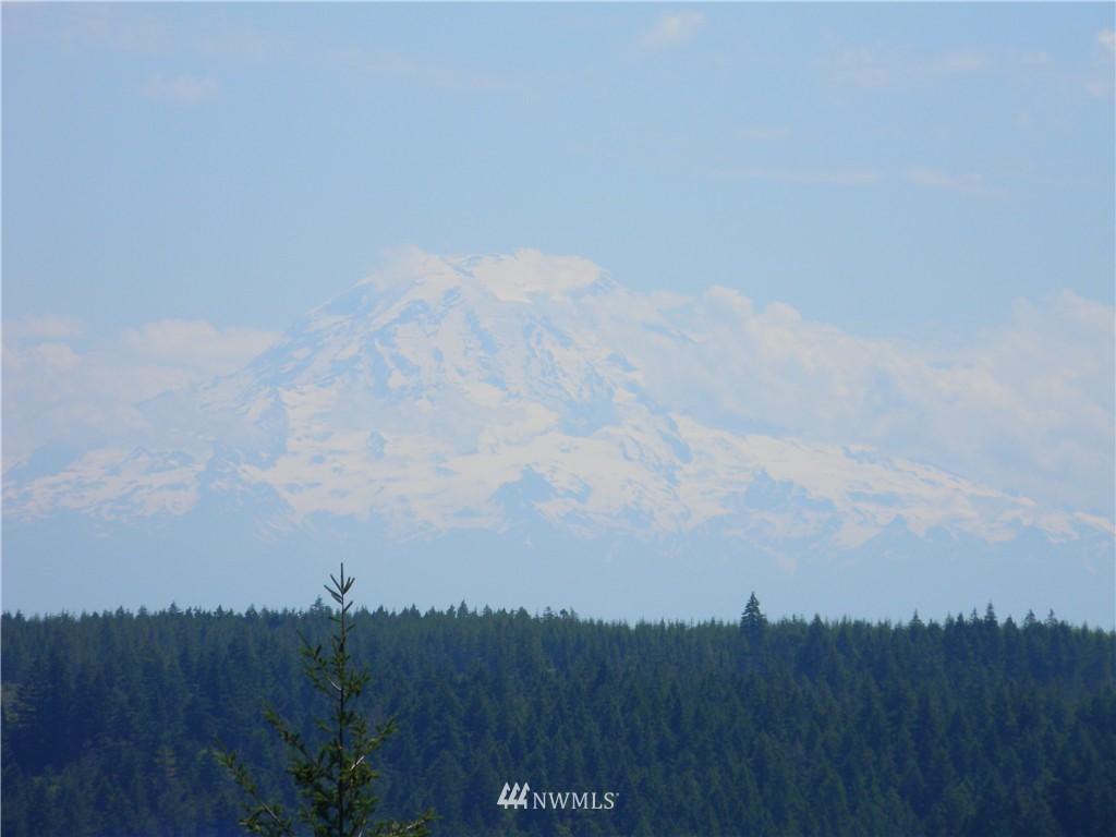 0 Northeast Belfair View Road Belfair, WA 98528 - Photo 1 of 10