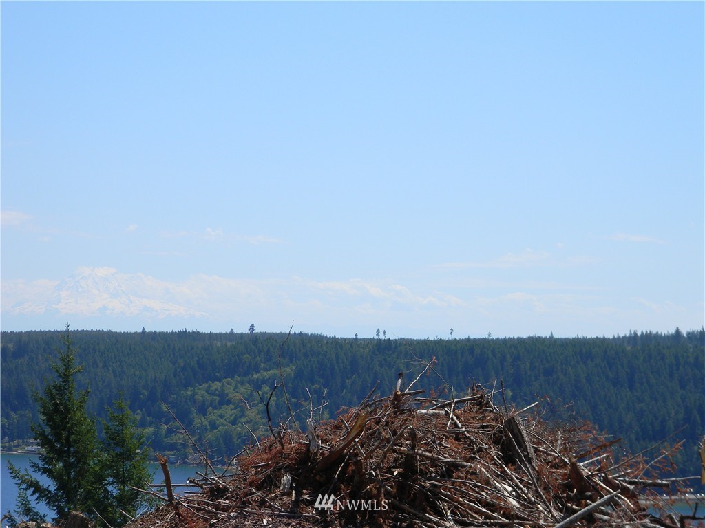 0 Northeast Belfair View Road Belfair, WA 98528 - Photo 2 of 10