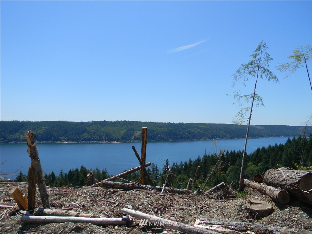 0 Northeast Belfair View Road Belfair, WA 98528 - Photo 3 of 10
