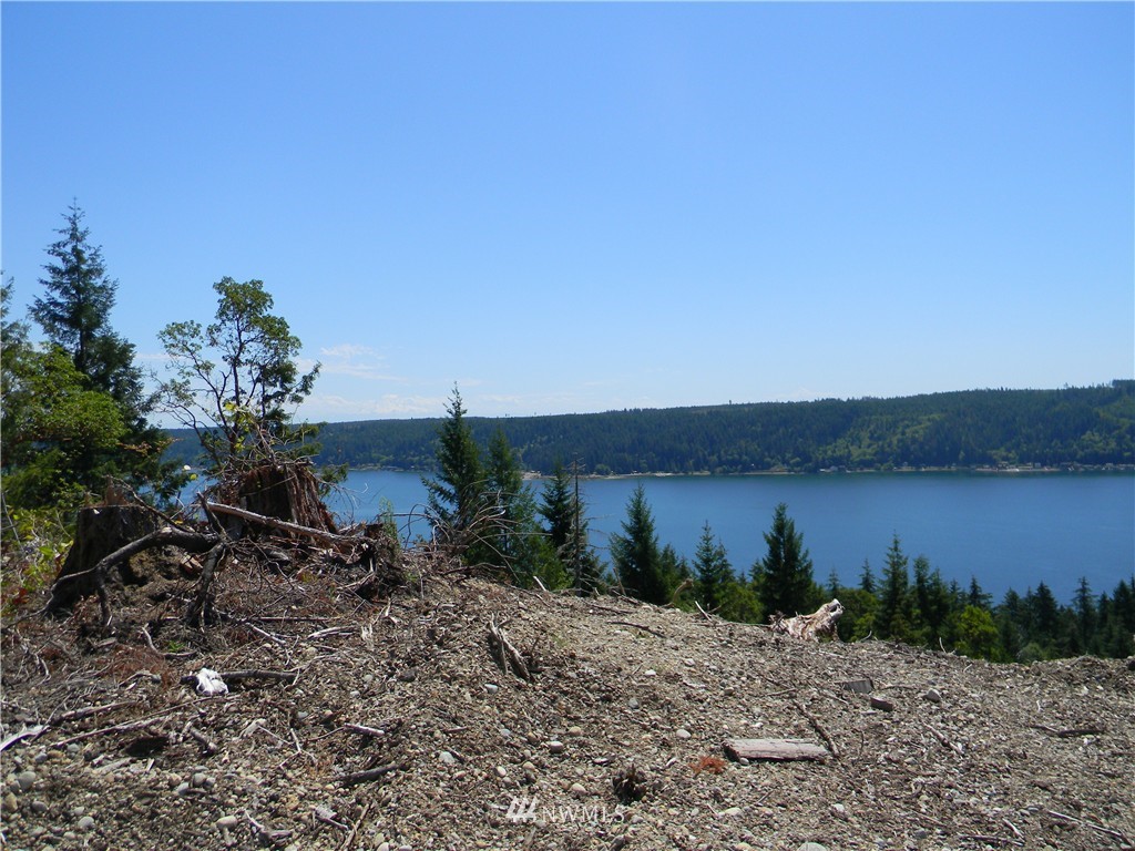 0 Northeast Belfair View Road Belfair, WA 98528 - Photo 4 of 10