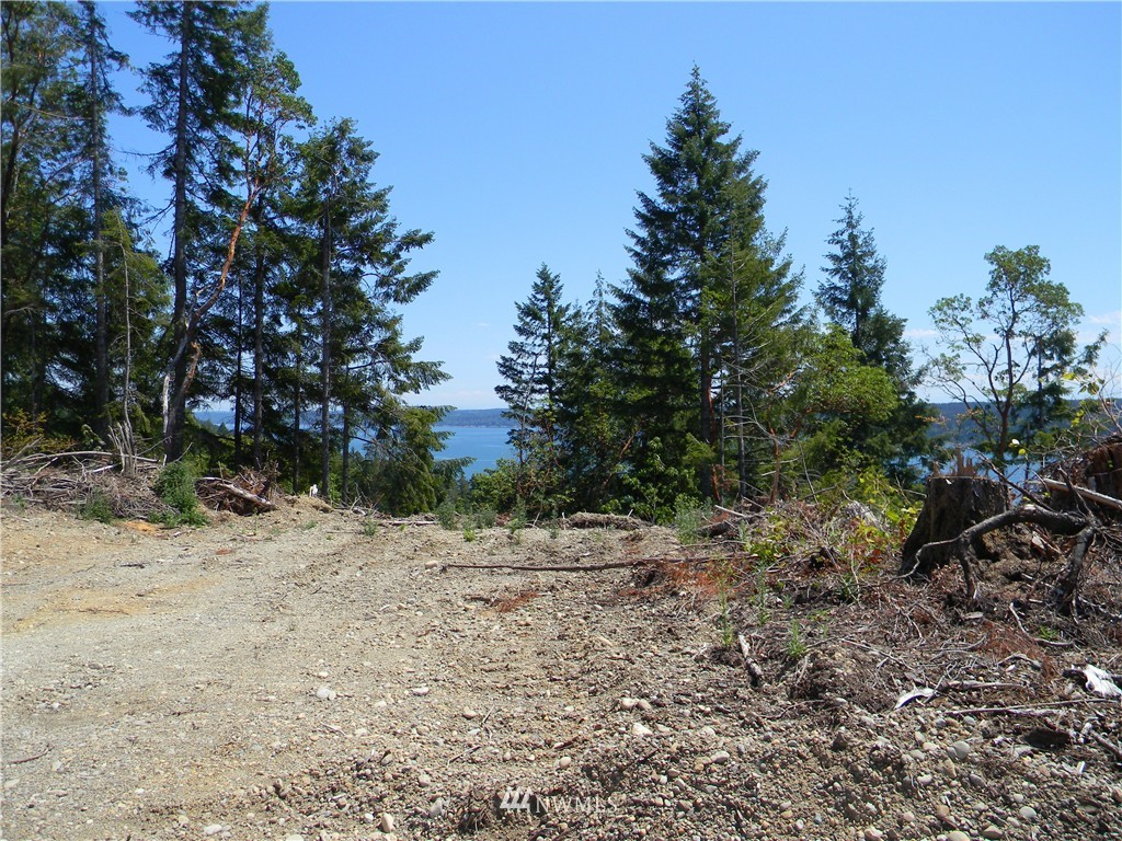 0 Northeast Belfair View Road Belfair, WA 98528 - Photo 5 of 10