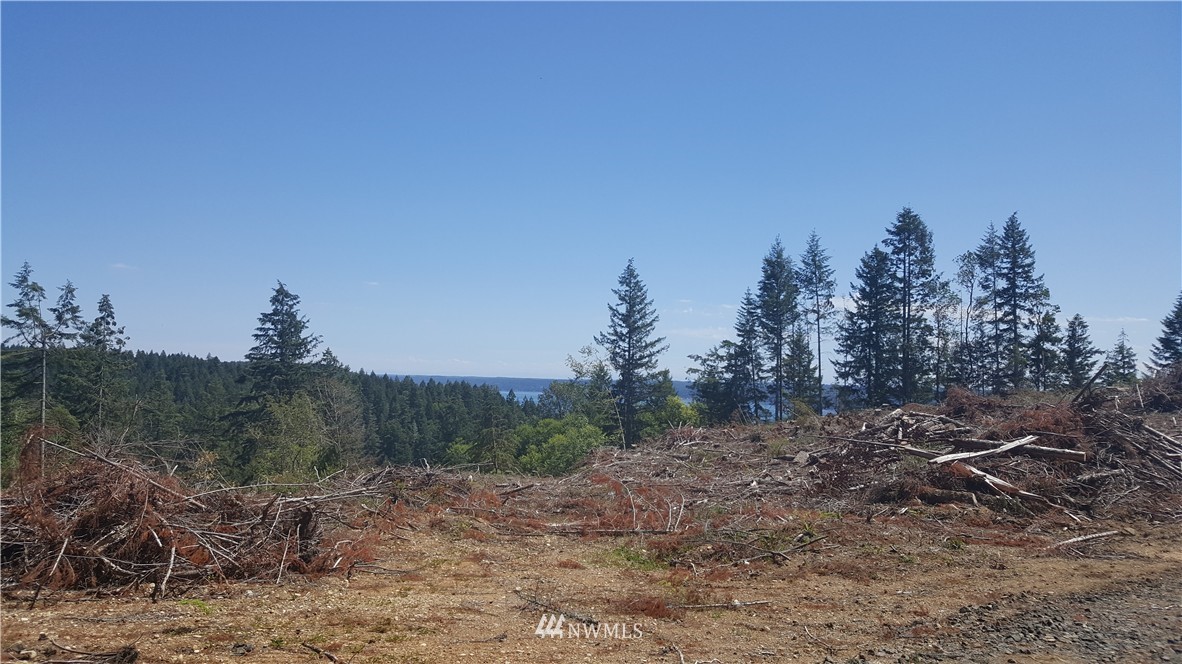 0 Northeast Belfair View Road Belfair, WA 98528 - Photo 6 of 10