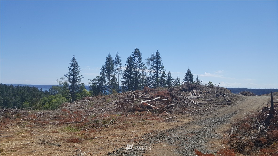 0 Northeast Belfair View Road Belfair, WA 98528 - Photo 7 of 10