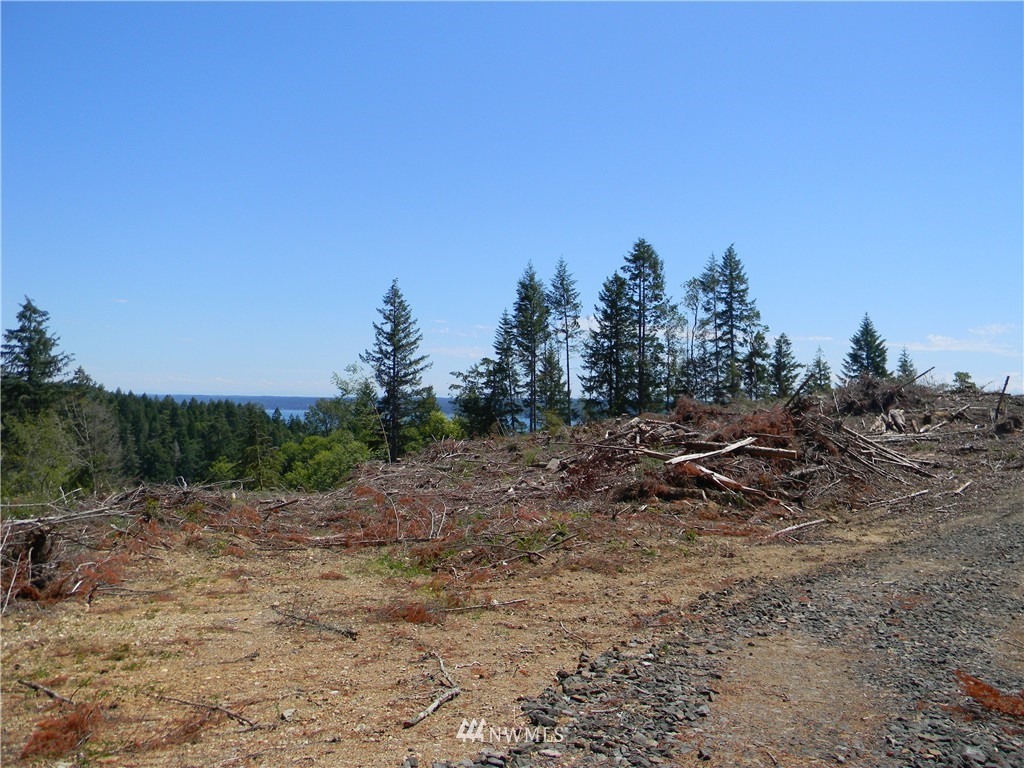 0 Northeast Belfair View Road Belfair, WA 98528 - Photo 8 of 10
