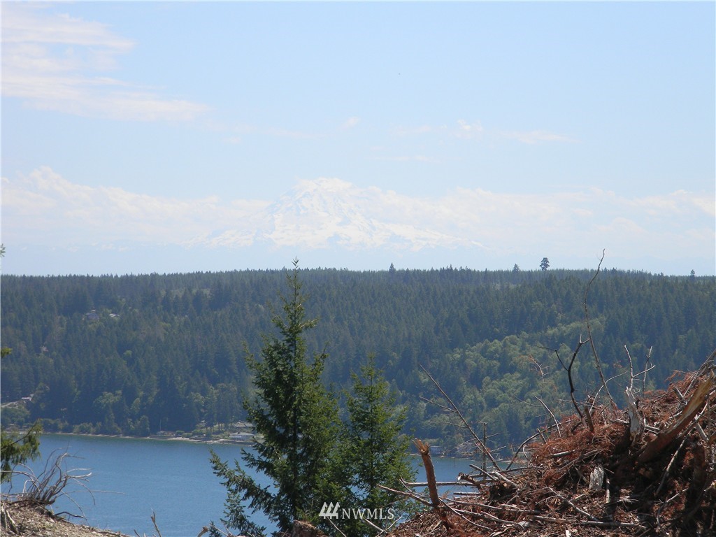 0 Northeast Belfair View Road Belfair, WA 98528 - Photo 10 of 10