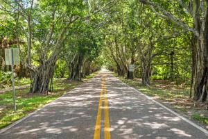 $2,300 | 7643 Southeast Sugar Sand Circle, Hobe Sound, FL 33455