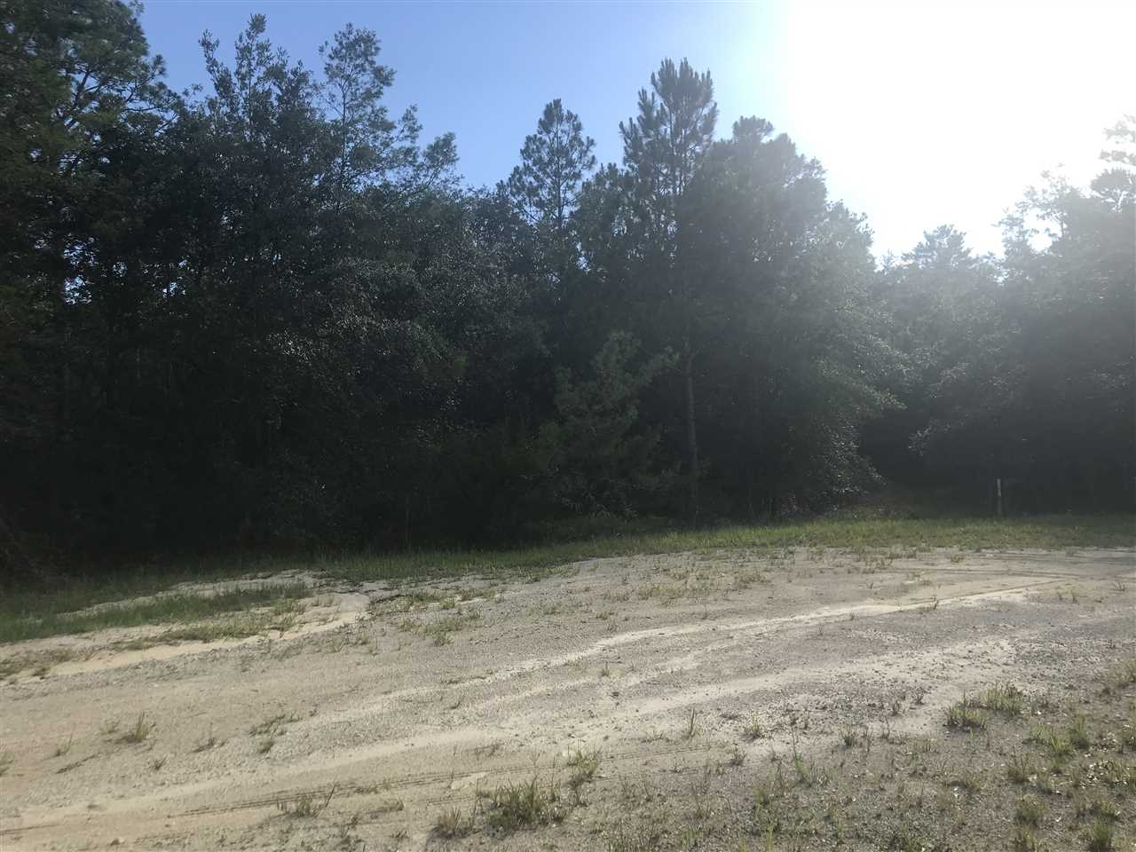 0 Blacktail Way Perry, FL 32348 - Photo 1 of 4 Gallery Image 1