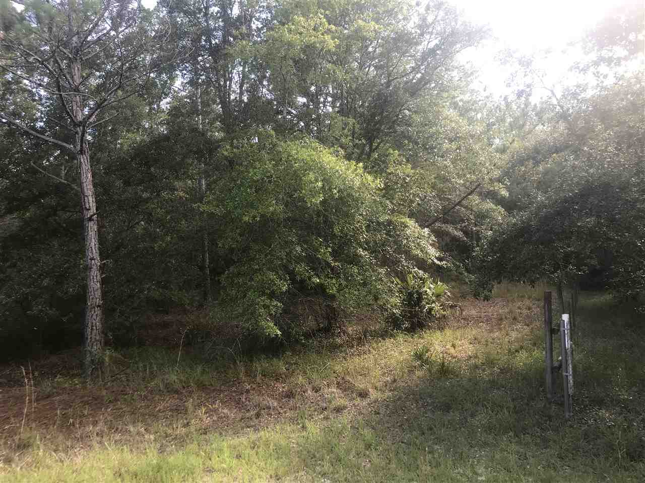 0 Blacktail Way Perry, FL 32348 - Photo 3 of 4 Gallery Image 3