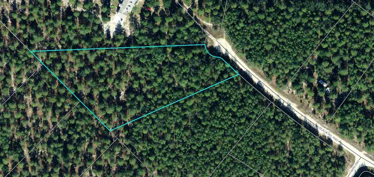0 Blacktail Way Perry, FL 32348 - Photo 4 of 4 Gallery Image 4