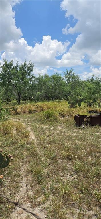 0 Mi Ranchita Drive Rio Grande City, TX 78582 - Photo 4 of 7 Gallery Image 4